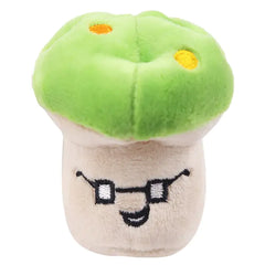 Plush Squeaker Toys