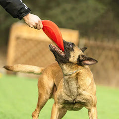 Rubber Flying Disc